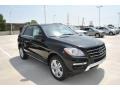 Black 2015 Mercedes-Benz ML 350 4Matic Exterior