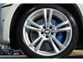 2013 BMW X6 M M xDrive Wheel and Tire Photo