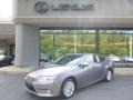 Nebula Gray Pearl - ES 350 Photo No. 1