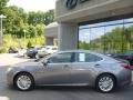 Nebula Gray Pearl - ES 350 Photo No. 8