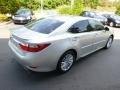 Silver Lining Metallic - ES 350 Photo No. 5