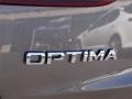 2015 Titanium Metallic Kia Optima SX Turbo  photo #7