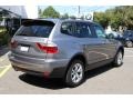 2010 Space Gray Metallic BMW X3 xDrive30i  photo #3