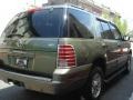 2003 Estate Green Metallic Mercury Mountaineer Convenience AWD  photo #10