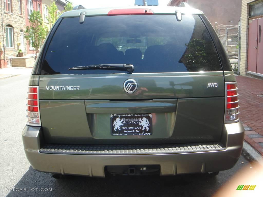 2003 Mountaineer Convenience AWD - Estate Green Metallic / Medium Dark Parchment photo #12