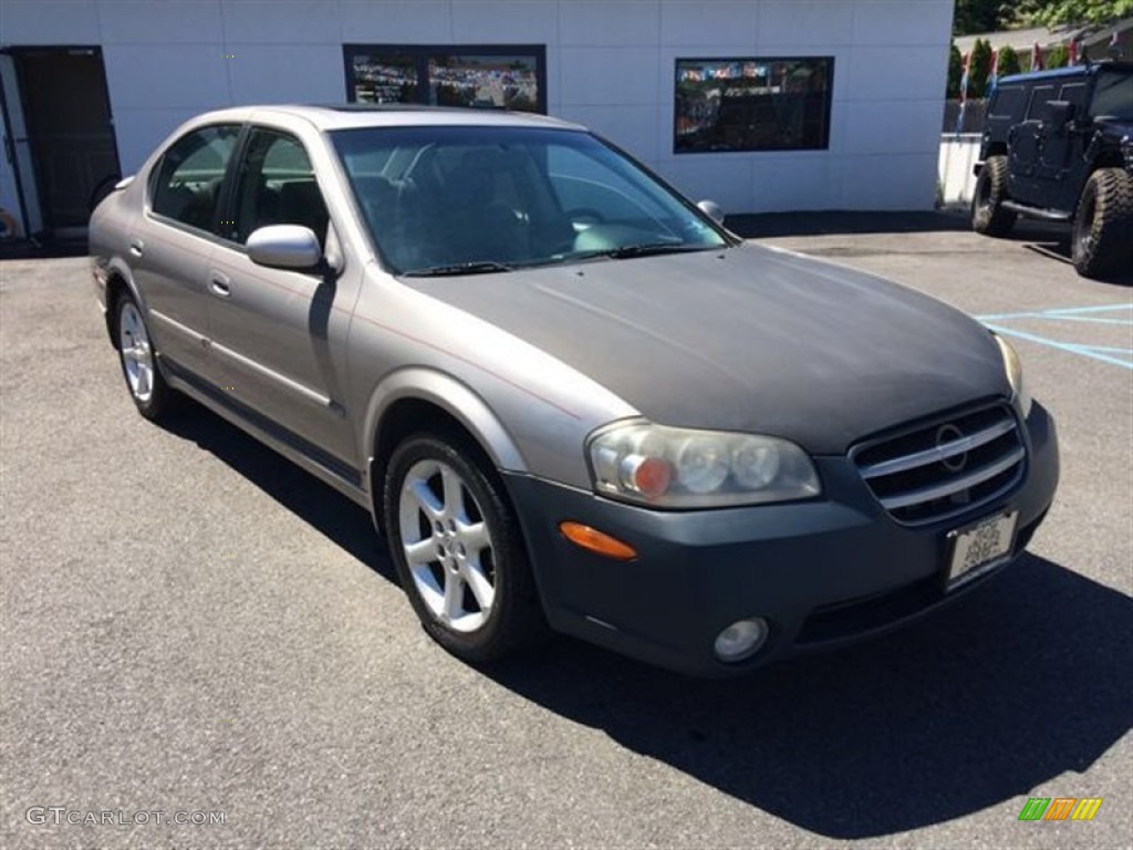 2002 Maxima SE - Sterling Mist Metallic / Black photo #11