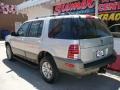 Silver Birch Metallic - Mountaineer Convenience AWD Photo No. 11