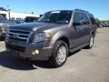 2013 Sterling Gray Ford Expedition XLT 4x4  photo #3