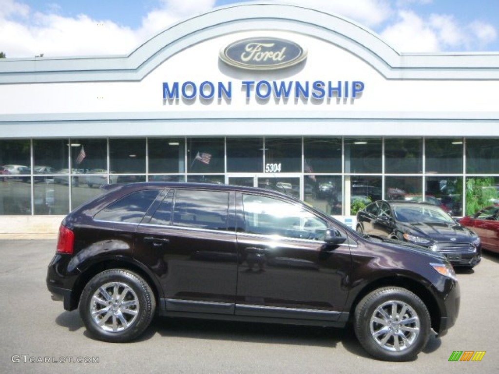 Kodiak Brown Ford Edge