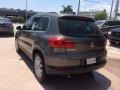 Pepper Gray Metallic - Tiguan SE Photo No. 3