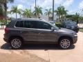 Pepper Gray Metallic - Tiguan SE Photo No. 6