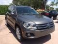 Pepper Gray Metallic - Tiguan SE Photo No. 7