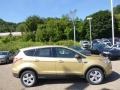 Karat Gold - Escape SE 1.6L EcoBoost 4WD Photo No. 1