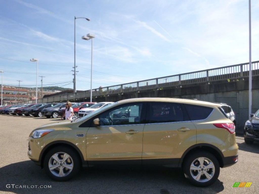 2014 Escape SE 1.6L EcoBoost 4WD - Karat Gold / Medium Light Stone photo #5