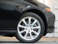 Nighthawk Black Pearl - TSX Sedan Photo No. 20
