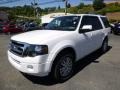 White Platinum Tri-Coat - Expedition Limited 4x4 Photo No. 5