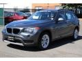 Mineral Grey Metallic - X1 xDrive28i Photo No. 6