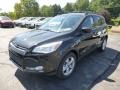 2014 Tuxedo Black Ford Escape SE 2.0L EcoBoost 4WD  photo #4