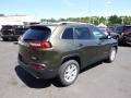 ECO Green Pearl 2015 Jeep Cherokee Latitude 4x4 Exterior