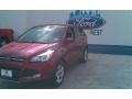 2014 Ruby Red Ford Escape SE 1.6L EcoBoost  photo #19