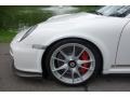 2011 Porsche 911 GT3 RS Wheel and Tire Photo
