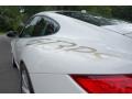 2011 Porsche 911 GT3 RS Badge and Logo Photo
