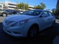 Shimmering White - Sonata GLS Photo No. 7