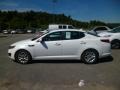 Snow White Pearl - Optima LX Photo No. 4