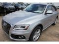 Florett Silver Metallic - Q5 3.0 TDI Premium Plus quattro Photo No. 3