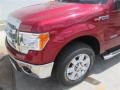 2014 Ruby Red Ford F150 XLT SuperCrew  photo #3