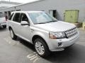 Indus Silver Metallic - LR2  Photo No. 7