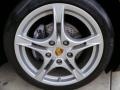Macadamia Metallic - Boxster  Photo No. 9
