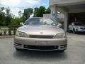 Cashmere Beige Metallic - ES 300 Photo No. 8