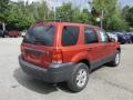 Blazing Copper Metallic - Escape XLT V6 4WD Photo No. 7