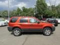 2006 Blazing Copper Metallic Ford Escape XLT V6 4WD  photo #9