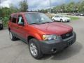 2006 Blazing Copper Metallic Ford Escape XLT V6 4WD  photo #11