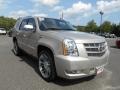 Silver Coast Metallic 2013 Cadillac Escalade Premium AWD