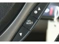 Graphite Luster Metallic - TSX Sedan Photo No. 37