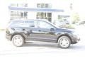 Crystal Black Pearl - RDX Technology Photo No. 6