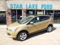 2014 Karat Gold Ford Escape SE 2.0L EcoBoost 4WD  photo #1