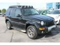 Black Clearcoat - Liberty Renegade 4x4 Photo No. 2