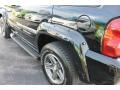Black Clearcoat - Liberty Renegade 4x4 Photo No. 4