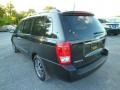 2012 Midnight Black Kia Sedona EX  photo #9