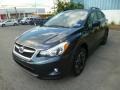 2014 Dark Gray Metallic Subaru XV Crosstrek 2.0i Premium  photo #3