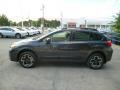 2014 Dark Gray Metallic Subaru XV Crosstrek 2.0i Premium  photo #4
