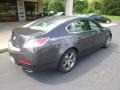 2010 Mayan Bronze Metallic Acura TL 3.7 SH-AWD  photo #8