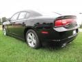 Pitch Black - Charger SE Photo No. 2