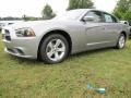 Billet Silver Metallic - Charger SE Photo No. 2