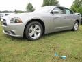 2014 Billet Silver Metallic Dodge Charger SE  photo #2