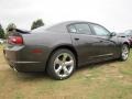 Granite Crystal Metallic - Charger SE Photo No. 3